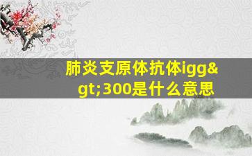 肺炎支原体抗体igg>300是什么意思